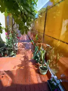 Курортный - 24