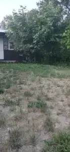 Светлана - 84