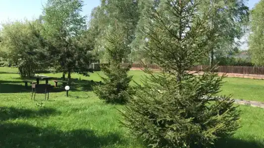 Дункан - 13