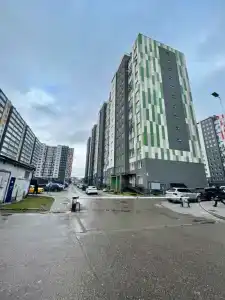 Новая квартира - 173