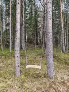 Полесье - 16