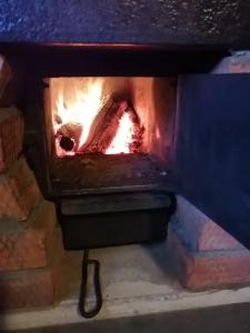 У Яблоньки - 20