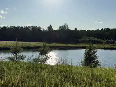 Кромбас - 181