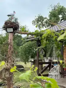 Пралеска - 1