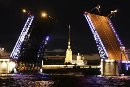 Квартира 56 - 286