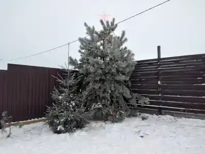 Агроусадьба Самуэлево - 18