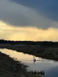 Пралеска - 25