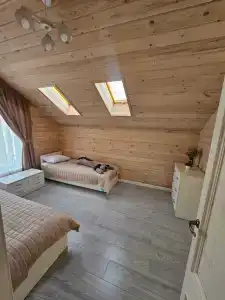 Снегири - 8