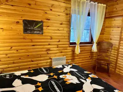 Polar Inn House - 58