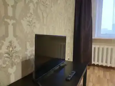 Большая квартира на пр. Ленина 48-2 - 2