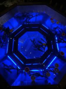 Уютный деревенский домик с русской баней возле озера в Большой Ухолоде - 42