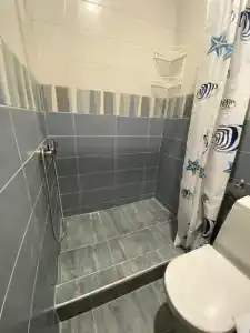 Афина - 55