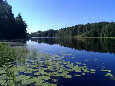Дачка на Центральной 1 - 33