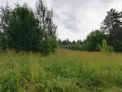 Дом на Прохладной 11 - 25