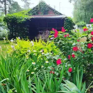 Дом под соснами - 20