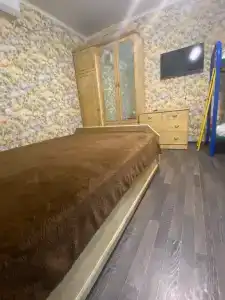 Ирис - 1