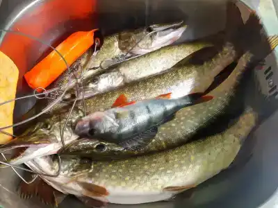 Усадьба Роза на Селигере - 3