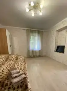 Уютный дом в курортной зоне - 56