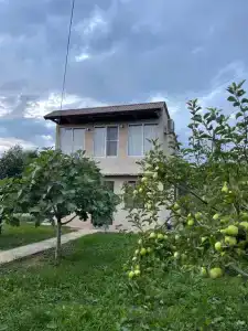 Дарси - 52