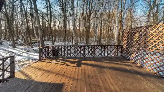Тишь да Лес - 60