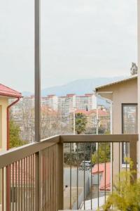 SAFINO_SOCHI - 141