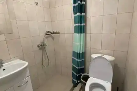 Инжир - 23