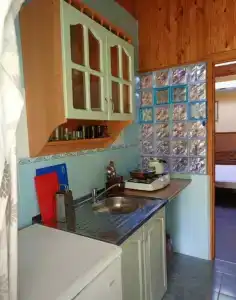 Астор - 29