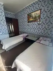 Данимар - 87