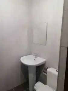 Дельфин - 18