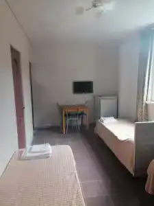 Дельфин - 20