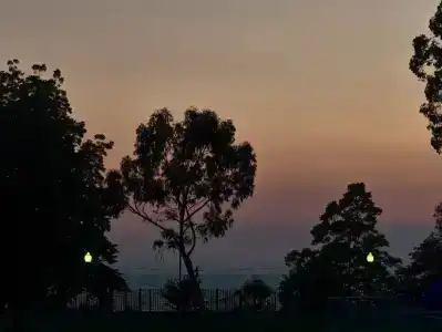 Solar - 12