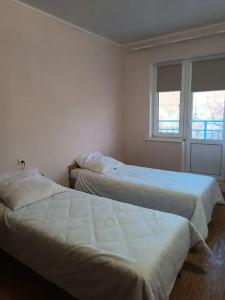 Вирджиния - 51