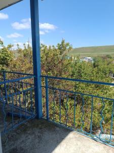 Вирджиния - 61