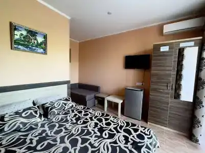 Витта - 12