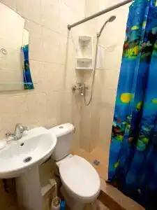 Витта - 17