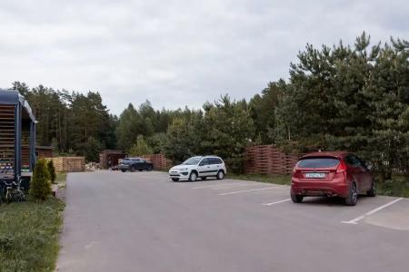Хвоя - 37