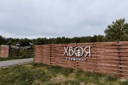 Хвоя - 38