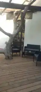 Островок - 13