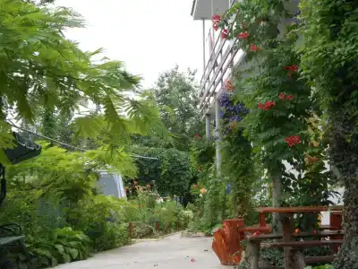 Цветочный рай - 3