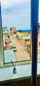 Киви - 20