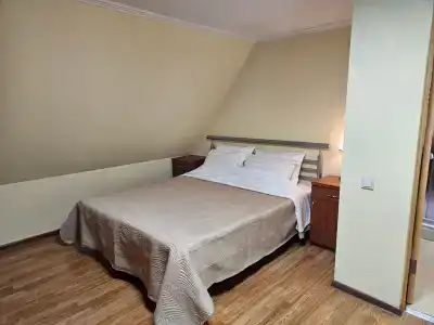 Розмарин - 23