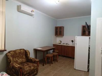 София - 23