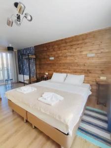 Конкордия - 117