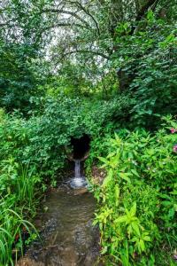 ФлайБокс - 70