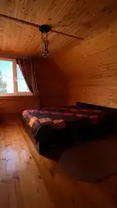 Дельфин на Приморской - 128