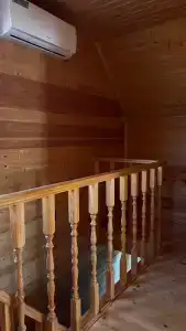 Дельфин на Приморской - 130