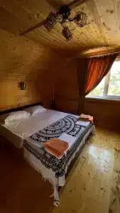 Дельфин на Приморской - 123