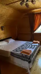 Дельфин на Приморской - 124