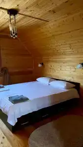 Дельфин на Приморской - 125