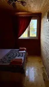 Дельфин на Приморской - 139